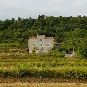 Flora Apartment